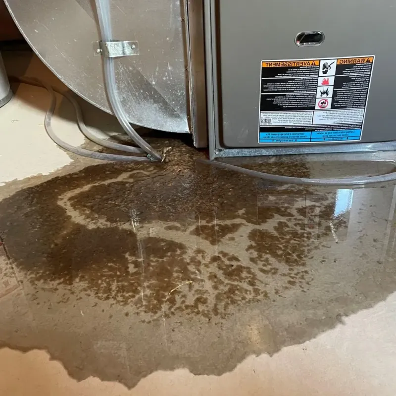 Pipe Burst and Leak Restoration in Highland Springs, VA