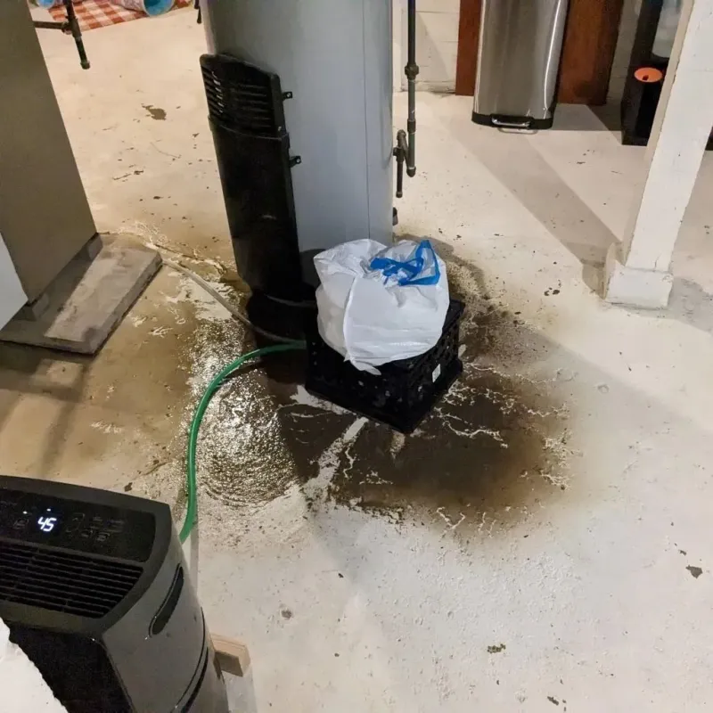 Sewage Backup Cleanup Service in Highland Springs, VA